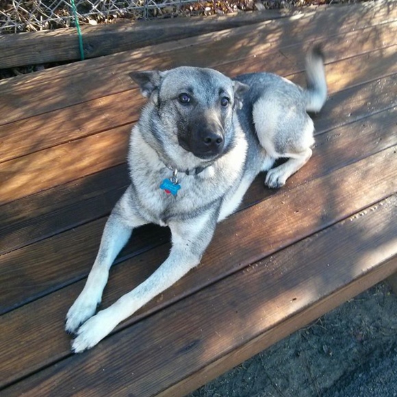 Hi! I'm Chantelle! Welcome to Lady Lily’s Boutique - Picture 5 of 16